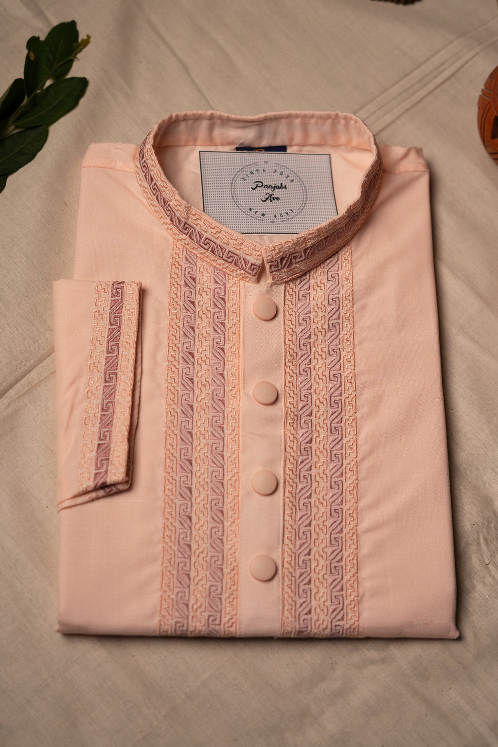 Elegant Bright Panjabi